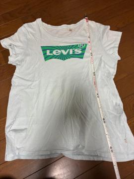 ���[�o�C�XT�V���c