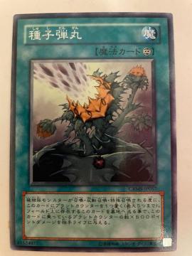 遊戯王【魔・種子弾丸】