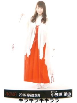 y}䝗R*AzsNewt2016N/AKB48[ʐ^]