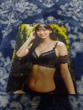 ���c���؎ʐ^