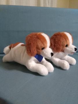 �R�[�C�P���z���f�B�G�̂��ł������@���߂����Ƃׂ��̃Z�b�g