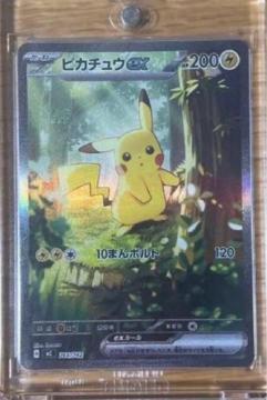 �s�J�`���Eex sar  �X�^�[�h�f�b�L100  �ɔ��i