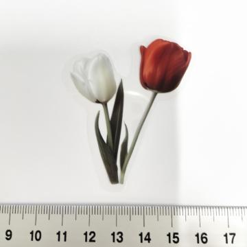 ׽ā����د�߂̺װ�ޭ��ف@376