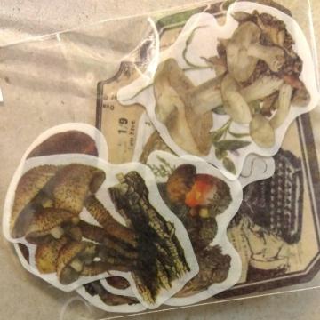 #�r���e�[�W#���̂�#�V�[��#