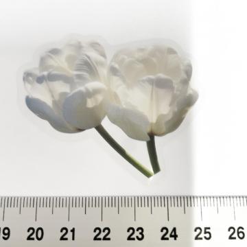 ׽ā����د�߂̺װ�ޭ��ف@380