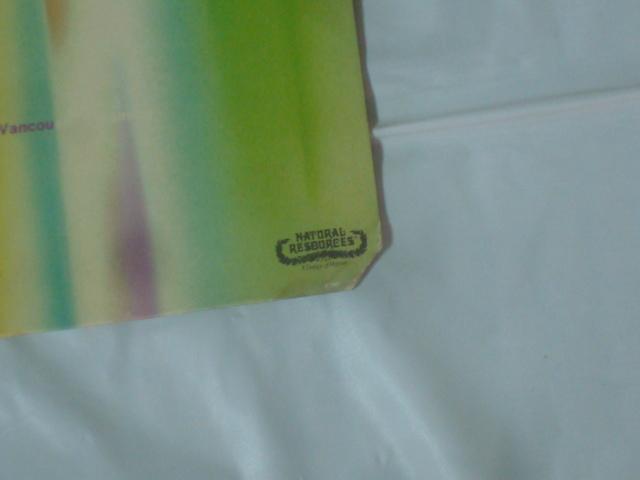 Vancouver Dreaming / NORTHERN LIGHTS us.org盤LP カット有 < CD/DVD/ビデオ  Vancouver Dreaming / NORTHERN LIGHTS us.org盤LP カット有 < CD/DVD/ビデオの