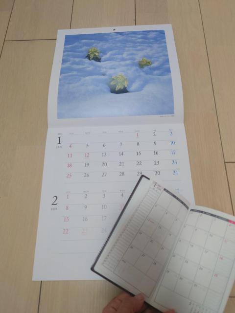 �O��Z�F�M����s 2026�N�J�����_�[�Ǝ蒠 �� �z�r�[�� 