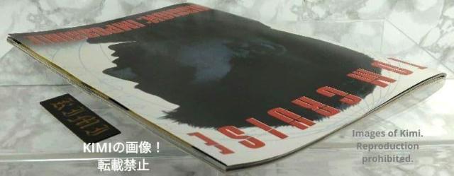 ~bV C|bVu f ptbg 1996 tC[  Mission Impossible Movie Pamp  zr[ 