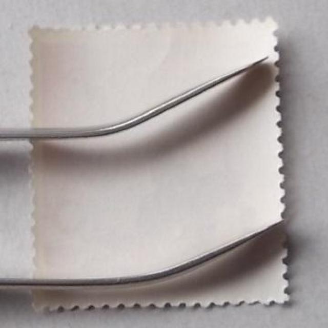 �y���g�p�z1959�N�@�����p���ؒ�h�����L�O�@�P�� �� �z�r�[�� 