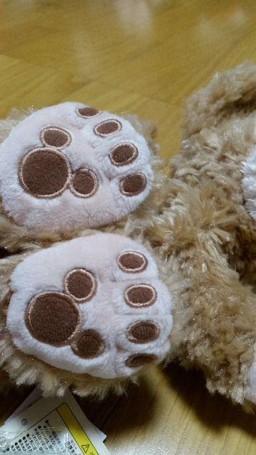 gp^Ot@fBYj[V[@_btB[@ʂ݃|[`@@A   