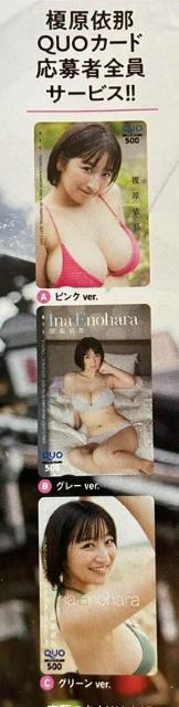 爆乳アイドル「榎原依那」のビキニ水着のオリジナルQUOカード全プレ応募用紙 < タレントグッズ  爆乳アイドル「榎原依那」のビキニ水着のオリジナルQUOカード全プレ応募用紙  < タレントグッズの