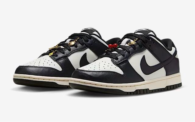 ��NIKE DUNK LOW SE��  �� �u�����h�� 