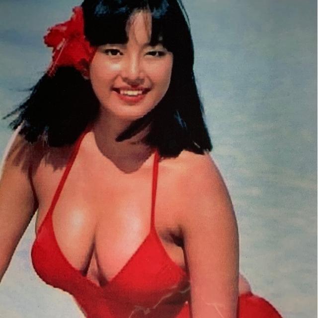 �������� ���T�i������ ��́jA�S�T�C�Y�S���{���@�N���A�|�P�b�g���� �� �^�����g�O�b�Y�� 