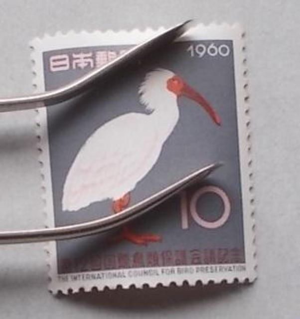 �y���g�p�z1960�N�@��12�񍑍ے��ޕی��c�L�O�@�P��  �� �z�r�[�� 