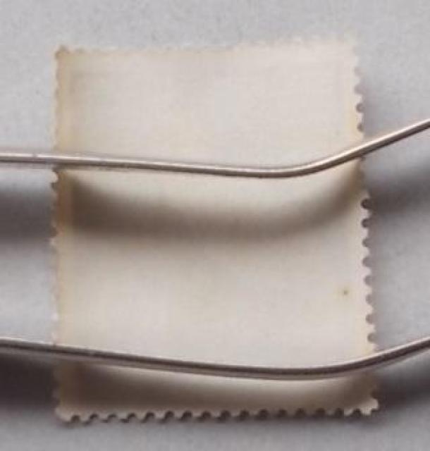 �y���g�p�z1960�N�@��12�񍑍ے��ޕی��c�L�O�@�P�� �� �z�r�[�� 