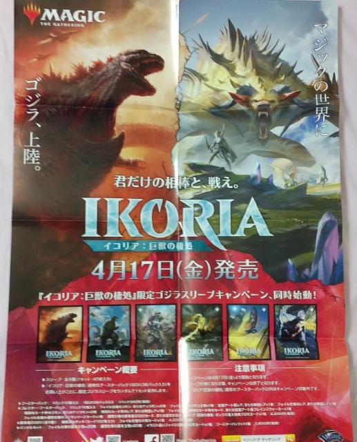 `|X^[ MTG CRA:b̐ SW   g[fBOJ[h 