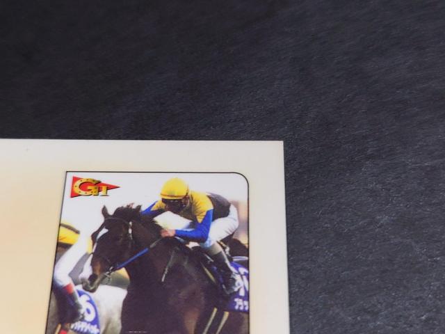 BANDAI サラブレッドカード 009 GI '99 第33回スプリンターズS ブラックホーク / 競馬 < トレーディングカード BANDAI サラブレッドカード 009 GI '99 第33回スプリンターズS ブラックホーク / 競馬 < トレーディングカードの