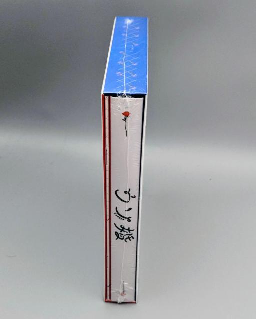 ウソ婚 未開封DVD-BOX 菊池風磨 長濱ねる 渡辺翔太 トリンドル玲奈 < CD/DVD/ビデオ ウソ婚 未開封DVD-BOX 菊池風磨 長濱ねる 渡辺翔太 トリンドル玲奈 < CD/DVD/ビデオの