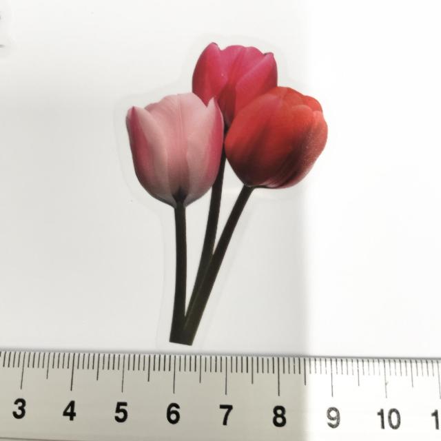 ���X�g��`���[���b�v�̃R���[�W���V�[���@396  �� �C���e���A/���C�t�� 