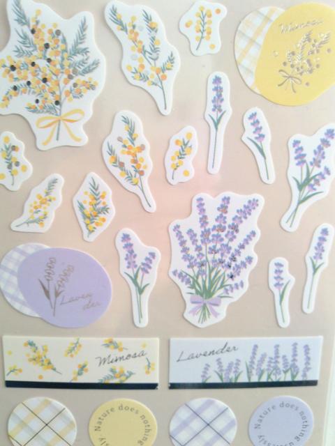 �~���U�ƃ��x���_�[�̃V�[���^�R���[�W���f�R  �� �C���e���A/���C�t�� 