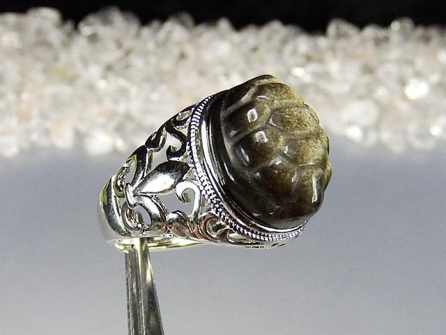 ͖S[hIuVfBAT蒤w20VR΃OΊXU2-01  jANZT[/v 