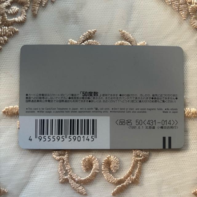 ezJ[h@gp@dC݁uٌc̓|v50x  zr[ 