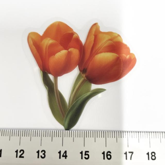 ���X�g��`���[���b�v�̃R���[�W���V�[���@400  �� �C���e���A/���C�t�� 