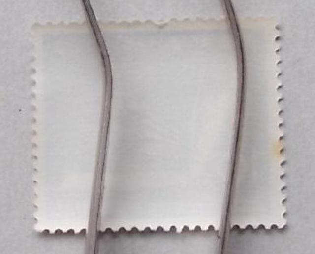 �y���g�p�z1961�N�@��������}���ِV���ɊJ�ًL�O�@�P�� �� �z�r�[�� 