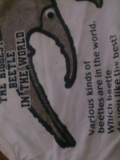 110 ELFIN DOLL KIDS ノースリーブ < キッズ/ベビー 110 ELFIN DOLL KIDS ノースリーブ < キッズ/ベビーの