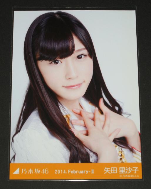 �T�؍�46�@��c�����q�@���ʐ^�R���Z�b�g�@ �� �^�����g�O�b�Y�� 