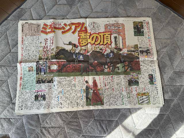 ���{���ꂳ�� �����̐V�� �f�B���[�X�|�[�c�V���V�i���g�p�i ! �B �� �z�r�[�� 