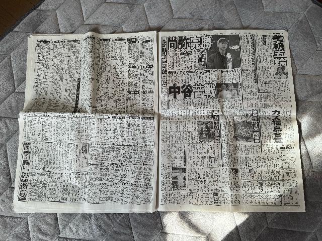 ���{���ꂳ�� �����̐V�� �f�B���[�X�|�[�c�V���V�i���g�p�i ! �B �� �z�r�[�� 