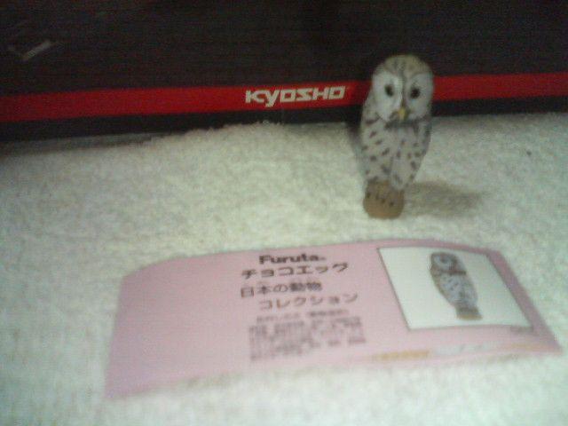 �t���^  ���{�̓���  �N���V�b�N    �t�N���E  �� �z�r�[�� 