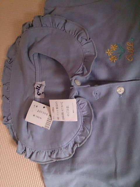 110 CRILL Vi uEX  LbY/xr[ 