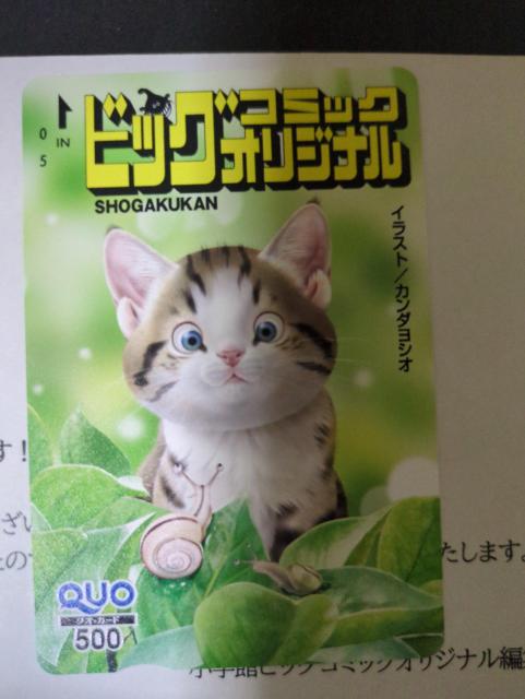 ビッグコミックオリジナル猫抽プレ当選クオカード < チケット/金券  ビッグコミックオリジナル猫抽プレ当選クオカード < チケット/金券の