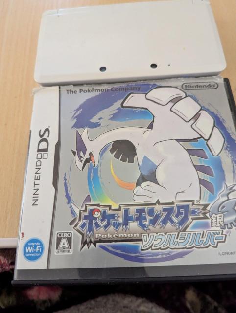 �C�V��3DS�{�́@�|�P�����\�E���V���o�[�t��  �� �Q�[���{��/�\�t�g�� 