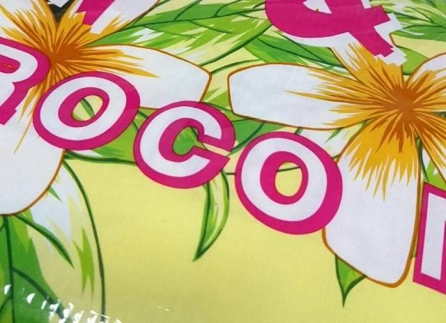 エゴシステム 雑誌付録★オリジナル ロゴ レジャーシート < 本/雑誌 エゴシステム 雑誌付録★オリジナル ロゴ レジャーシート < 本/雑誌の