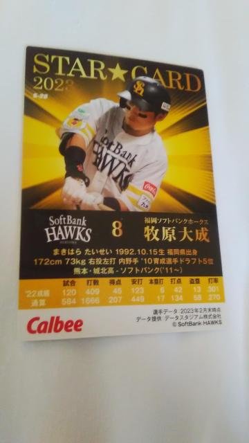 2023 Jr[ J[h q听   g[fBOJ[h 