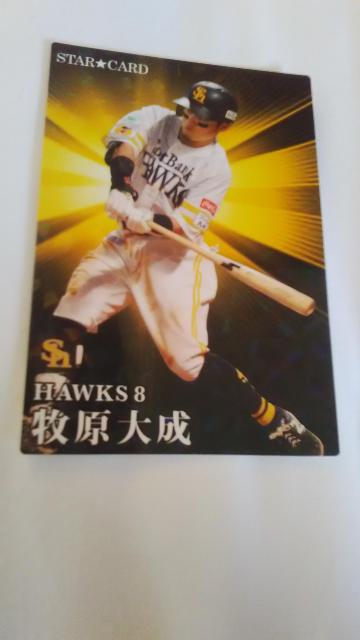 2023 Jr[ J[h q听  g[fBOJ[h 