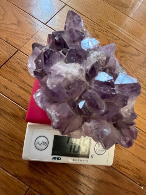 AWXgNX^[705OI΂̂܂܁IuWYIȂ̂ŁIfGI  CeA/Ct 