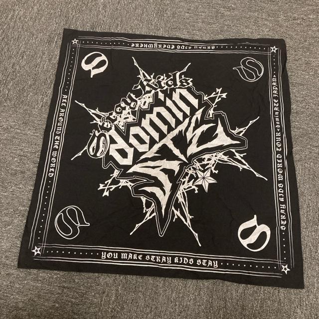  stray kids domin o_i ubN   ^gObY 