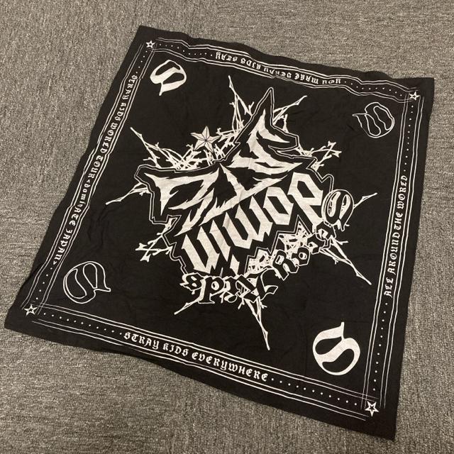  stray kids domin o_i ubN  ^gObY 