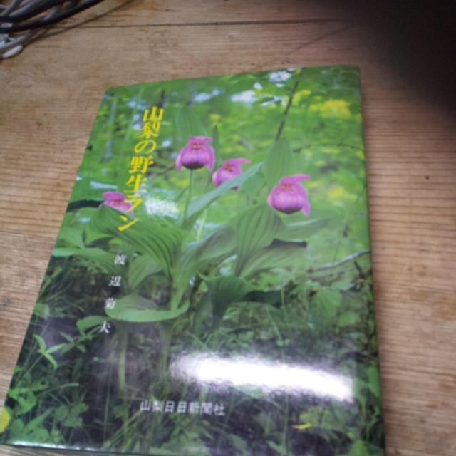 �R���̖쐶����  �� �A�j��/�R�~�b�N/�L�����N�^�[�� 