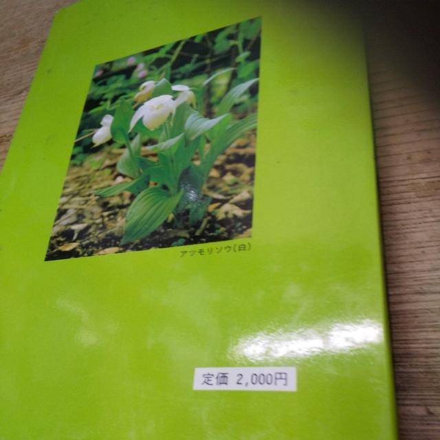 �R���̖쐶���� �� �A�j��/�R�~�b�N/�L�����N�^�[�� 