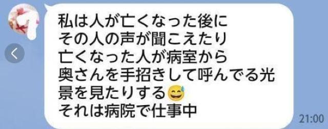 �X�����i*�G�N�\�V�X�g �����P����p ���x�l�f�B�N�g�̏\���� �u���X���b�g �� �z�r�[�� 