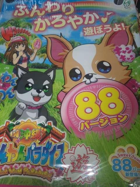 yp`R@p_CX in ()z񔄕i|X^[  zr[ 