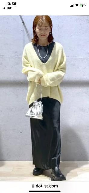 LEPSIM 7ゲージ深Vアルパカプルオーバー 美品 < ブランド LEPSIM 7ゲージ深Vアルパカプルオーバー 美品 < ブランドの