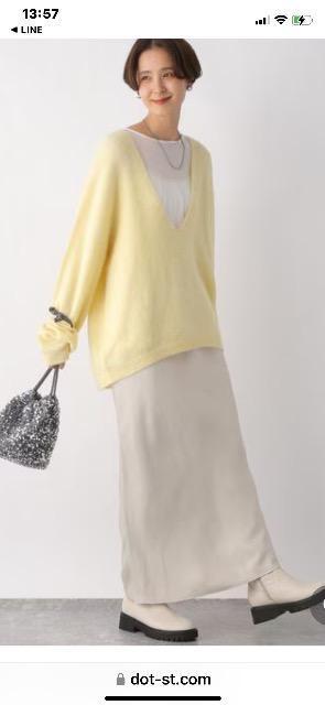 LEPSIM 7ゲージ深Vアルパカプルオーバー 美品 < ブランド LEPSIM 7ゲージ深Vアルパカプルオーバー 美品 < ブランドの