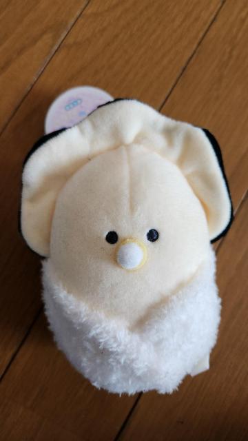 つぶらな瞳のなまがき☆マスコット(・      ∀      ・) < 女性ファッション  つぶらな瞳のなまがき☆マスコット(・      ∀      ・)  < 女性ファッションの