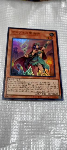 アマゾネス霊術師 < トレーディングカード  アマゾネス霊術師  < トレーディングカードの